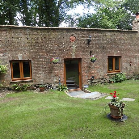 The Potting Shed Apartment Little Torrington Exterior photo