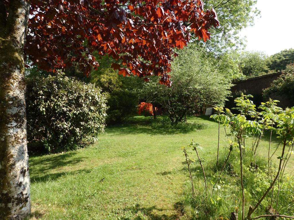The Potting Shed Apartment Little Torrington Exterior photo